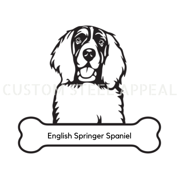 English Springer Spaniel Dog Portrait Signs