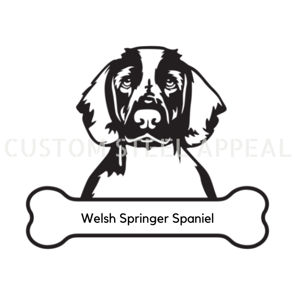 Welsh Springer Spaniel Dog Portrait Signs