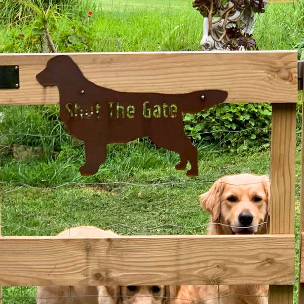 Golden Retriever Shut the Gate Dog Sign