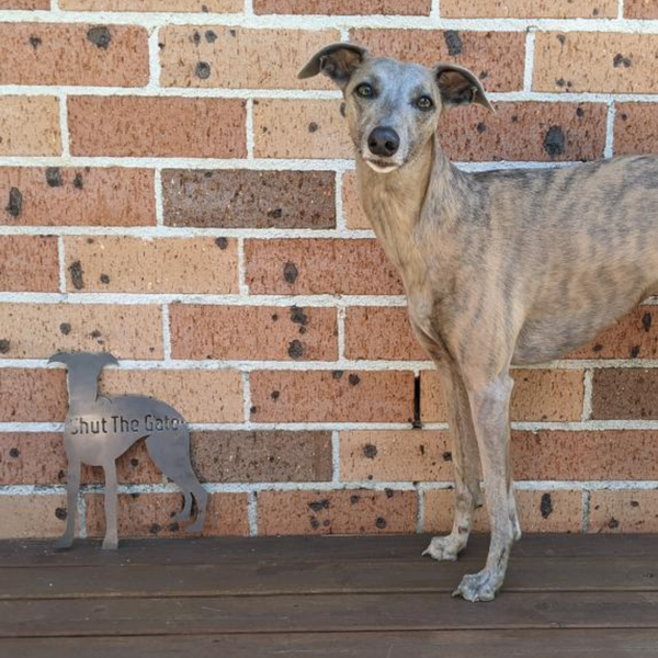 Greyhound (Front Facing) Shut the Gate Dog Sign