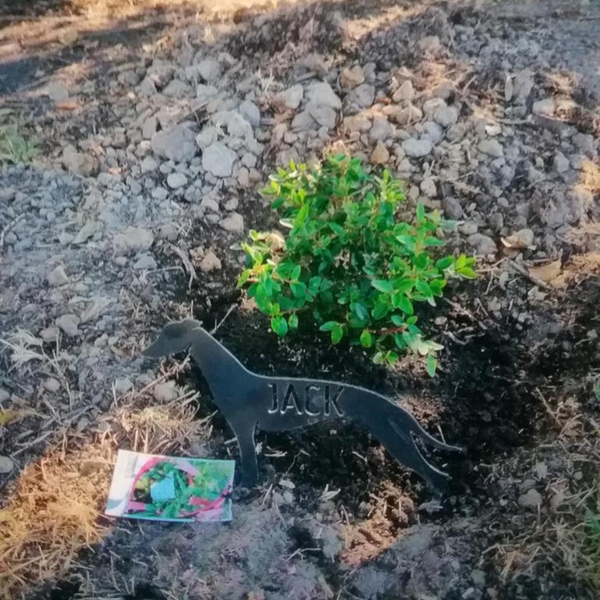 Greyhound Pet Dog Memorial