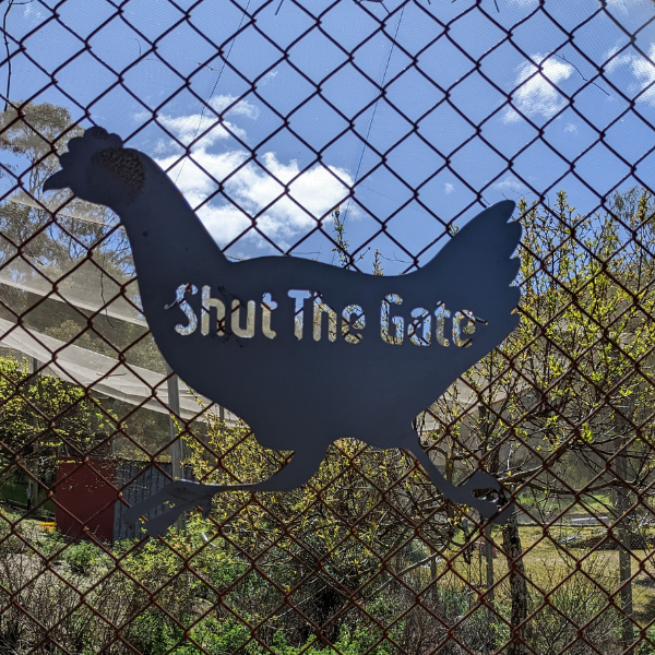 Shut the Gate Chicken Sign (Running)